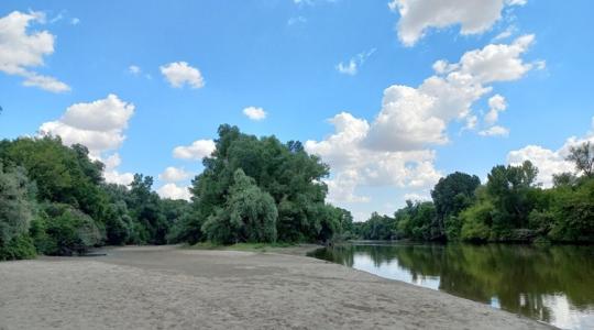 Bárki összefuthat mostantól ezekkel a ritka állatokkal a Dél-Alföldön
