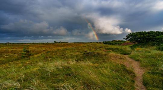 Uniós támogatással indul újra az élet az alföldi löszgyepeken