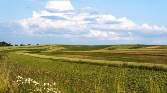 Könnyítések az AÖP-ben, amiknek örülni fogsz