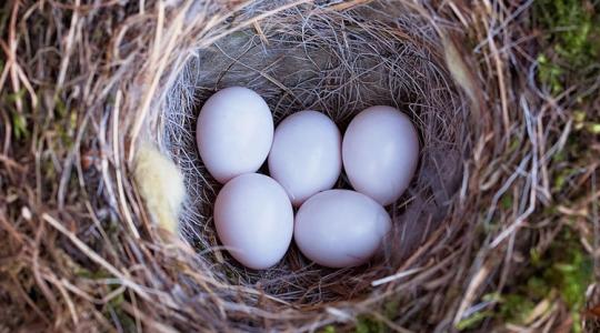 Sorsdöntő, mikor kaszál a gazda