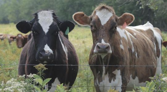 Egy apró ENAR-hiba, és több százezer forintod bánhatja