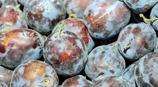 Negyedével drágult ez a gyümölcs – Érik a piaci átrendeződés?