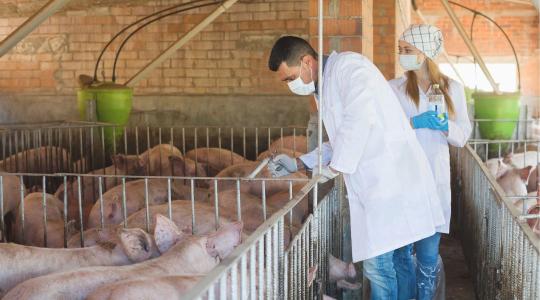 Mi történik, ha nem hat többé az antibiotikum?