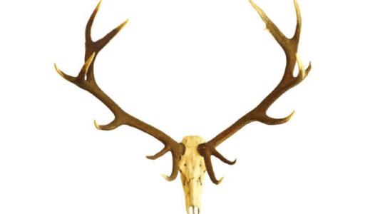 Ilyen egy vidéki balhé: aganccsal törte el vitapartnere orrát