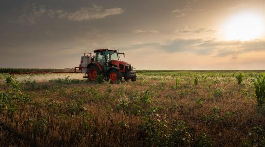 Őszi vetések: így védd meg a táblát a gyomoktól