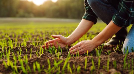 Válaszd a LEGATO TRIO-t ősszel, hogy tavasszal tiszta állománnyal indulhass!