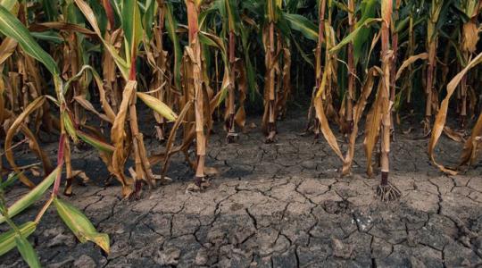 Magyarországnak új klímatörvényre van szüksége –  a fiatal gazdák is beszállnak az egyeztetésbe  