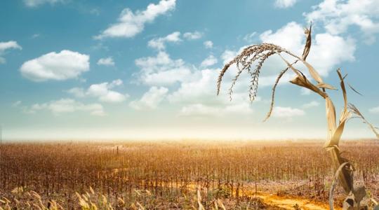 5 érv: ezért foglalkozzon egy agrárszervezet az új klímatörvénnyel