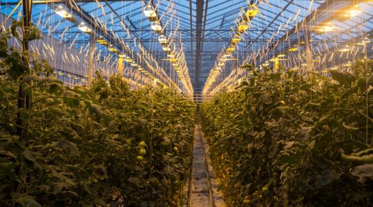 Geotermikus energia: aduász lehet a magyar gazdák kezében