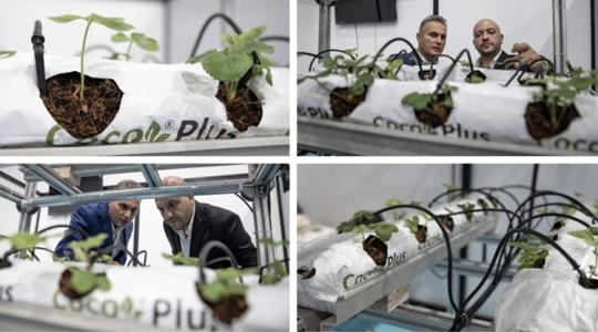 Növényvédő szerek nélkül, 40%-kal több termés: elképesztő fejlesztés egy videó nyomán