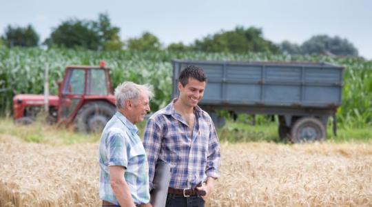 Agrárgazdaság átadása: a generációváltás és a vagyontervezés kulcsa