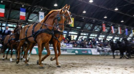 Tradíció és innováció, szakma és szórakozás – 40 ezren a KÁN Egyetemi Napokon