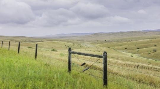 Gazdák, itt a lehetőség: legelők, szántók és rétek kerülnek kalapács alá