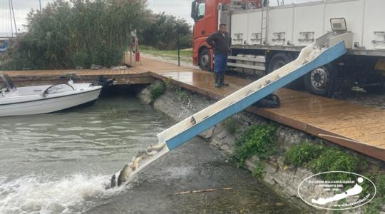 Ha pecázni indulsz, legyen ez a tó az úti célod: gigantikus haltelepítés zajlik