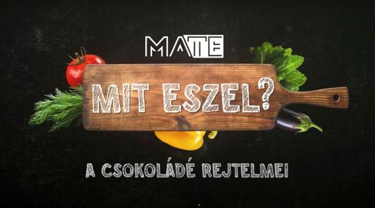 Miért nem mindegy, hogy csokit vagy kakaós masszát eszünk?