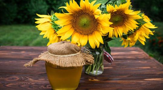 Repceméz és napraforgóméz különbségei – melyiket válasszuk?