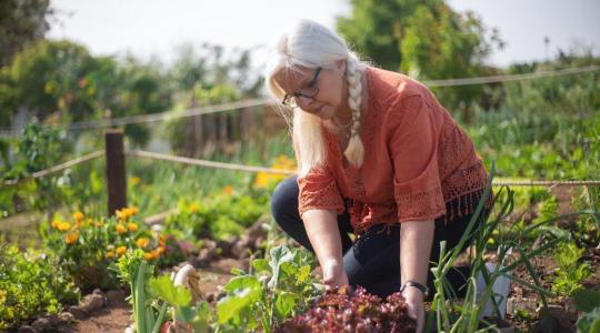 Őszi kártevők listája és védekezési módszerek