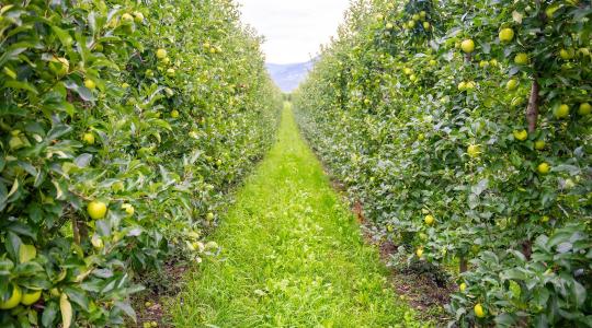 Jó, ha tudsz erről: új szabályok léptek életbe az AKG-ban