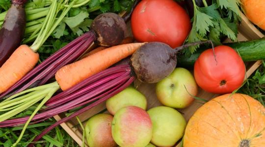 Ne hagyd a fán, ne hagyd a földben ezeket a terméseket