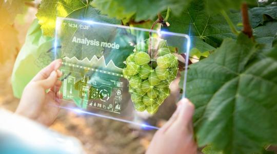 Döntéstámogatás, öntözés, robotika: forradalom zajlik a mezőgazdaságban