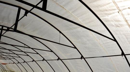 Túlélés 60 fokban – így küzdenek a klímaváltozás ellen a magyar közösségi gazdák