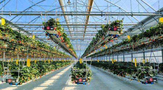 Kevesebb víz, magasabb hozam: ezért triplázódik meg a népszerű módszer piaca