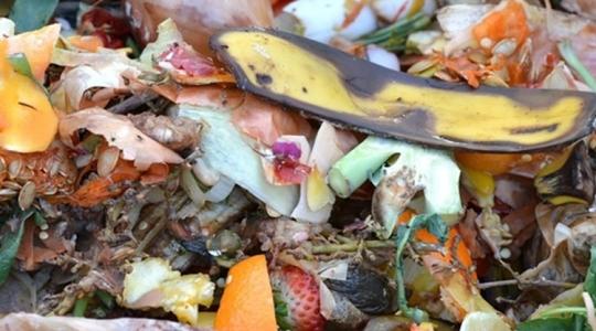 Soha nem gondoltuk volna, hogy erre lehet jó az ételmaradék