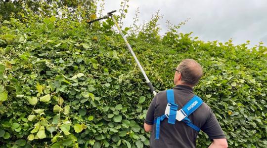 Így jár, aki a szomszédra vár