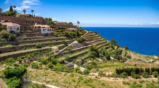 Óriási lehetőséget kaphatnak a gazdák ezen a szigeten