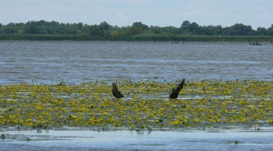 Óriási víznyereség: ez a hazai szakértőket is meglepte