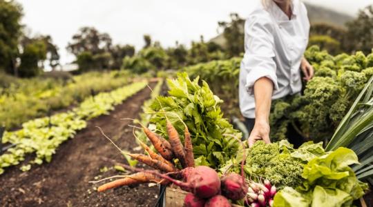 A tudatos vásárlók mozgatnak mindent: nem akárhol költik el a pénzüket