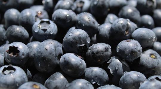 Lekapcsolták az illegális gyümölcsárusokat, durva bírságot is kaptak