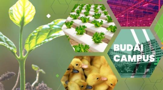 III. AgroLight Fórum 