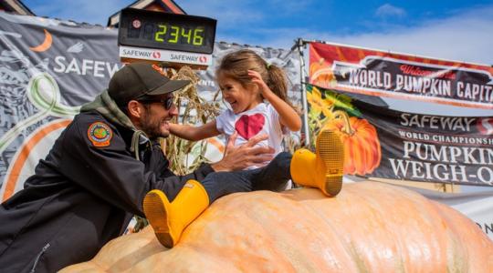 Hihetetlen rekord: nézd meg ezen a videón, milyen egy 1 tonnás sütőtök +VIDEÓ