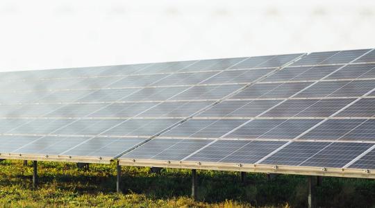 Napenergia a rizsföldeken: Magyar érdekeltségű naperőmű épült Olaszországban