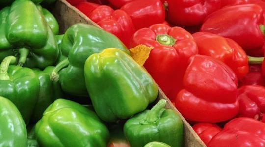 Késik a paprika, gyengélkedik a paradicsom – vegyes szezonkezdés Almeríában