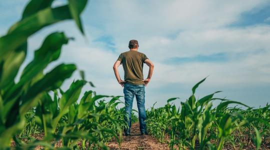 Mentorálás és képzés – új elemek a gazdaságátadás támogatásában