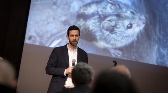 Tudtad, hogy ez az apró állat csak egy helyen él Magyarországon?