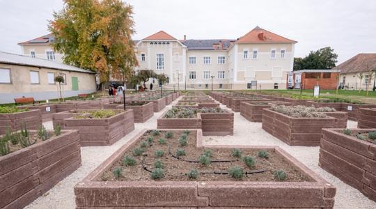 Ez már a jövő: okoskert és mesterséges intelligencia az óvári egyetemi farmon