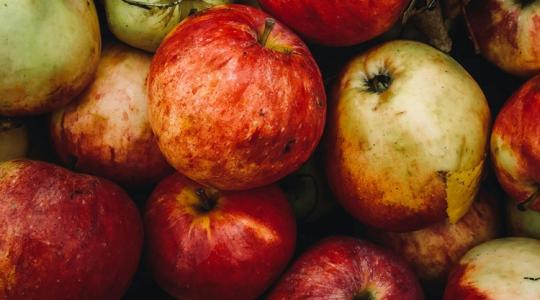 Ukrán trükk: szigorításnak álcázott lazítás miatt akadtak ki a lengyel gazdák