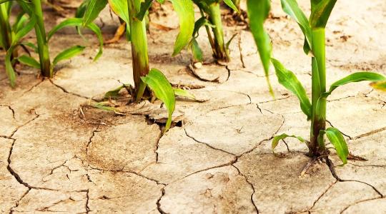 Rendezni kell az illegálisan fúrt kutak helyzetét