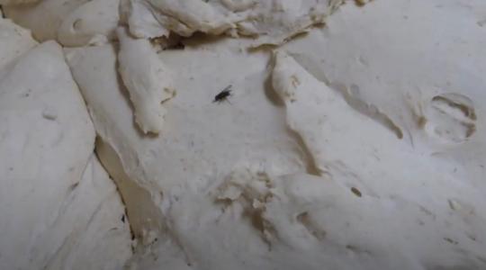 Kosz, rovarok, lejárt alapanyag: te sem ennéd meg szívesen a kenyerüket +VIDEÓ