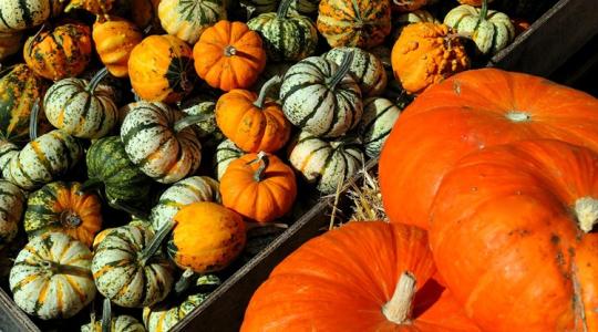 Komoly bírság járhat ezért a következő napokban – ezt figyeli a NAV