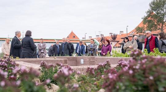 Okoskertben terem a sajtba szánt fűszer