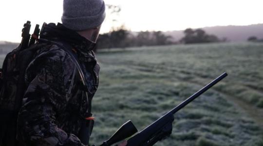 Elárasztotta a somogyi erdőket a toportyán