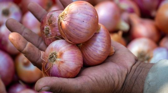 Csökkenő terület, kedvező hozam: ezt hogy csinálták?