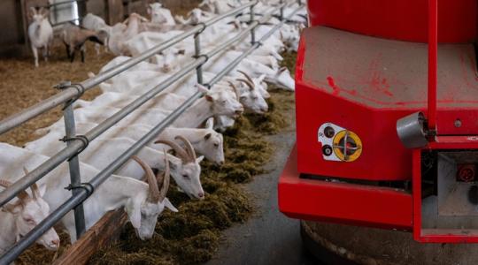 Újra szabad az út: visszaszereztük a mentes státust az egyik állatfertőzéstől