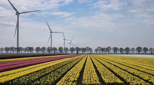 Furcsa kérés a holland kormánytól – Hiába a napelem, ha a hálózat a gyenge láncszem