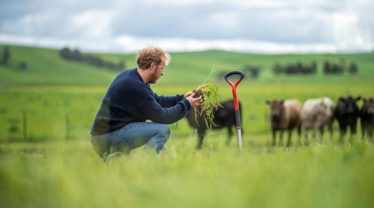 Fiatal gazdák, figyelem: íme, amit mindig tudni akartatok, de nem vágtatok bele