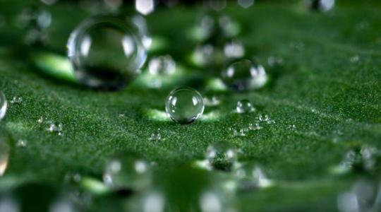 A gazdákat segíti a magyar találmány: csak ki kell permetezni